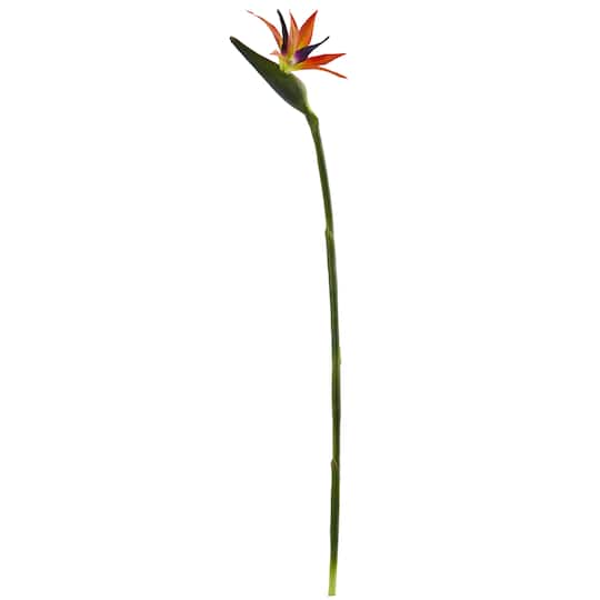 Orange Bird of Paradise Stems, 4ct.